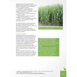 Une Agriculture Forte de ses hommes et de ses innovations