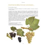 Du côté du Mont de Berru